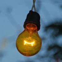 6 motive frecvente pentru care start-up-urile esueaza!