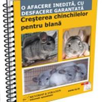 Afaceri profitabile cu ... chinchille!