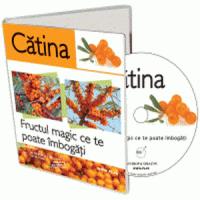 Afaceri profitabile in Romania: 7 avantaje uriase ale cultivarii catinei!