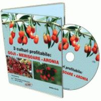 Goji - Arbustul care iti aduce profituri uriase!