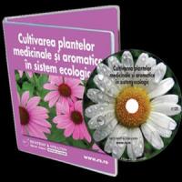 10 afaceri agricole cu care sa dai lovitura in 2013!