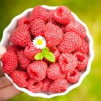 Dietele anti-cancer - Marketing ca la carte!