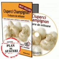 Cauti o afacere profitabila pentru 2013? Infiinteaza-ti o ciupercarie!