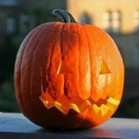 De Halloween avem reduceri mari la 12 afaceri cu ghiduri complete!