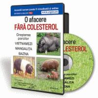 4 idei de afaceri la tara, in 2013, in Romania!