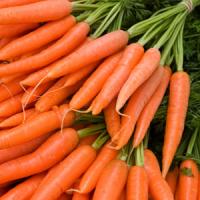 Afaceri la cheie in agricultura cu fonduri europene nerambursabile