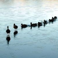 10 practici de leadership de care sa scapi cat mai repede!