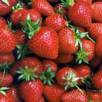 7 idei de afaceri in agricultura daca ai o suprafata mica sau foarte mica de teren!