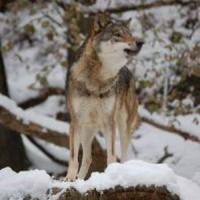 8 cai prin care poti deveni mai puternic si mai determinat sa iti atingi obiectivele!
