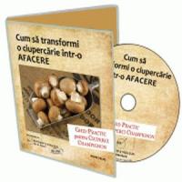 3 idei de afaceri care vor functiona si pe timp de criza!