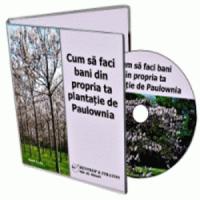 Utilizarile arborilor care au pus afaceristii pe jar!