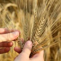 Cursuri gratuite de formare in agricultura, in luna august!