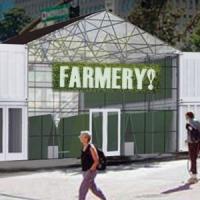 The Farmery - Ferma Urbana care ne-a pus pe jar!