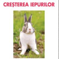 Crescatorie de iepuri - O afacere de demarat in 2013!