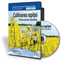 Rapita - Afacerea agricola cea mai rentabila in 2013!