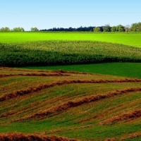 Lucrarile solului in agricultura ecologica