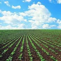 Cele mai profitabile afaceri agricole in Romania!