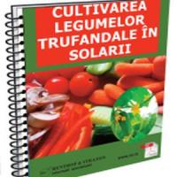 Afaceri agricole cu legume trufandale in solarii!