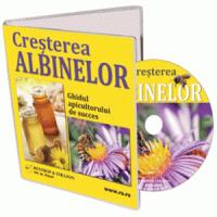Afacerea anului 2013: Cresterea albinelor!