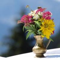 Cum sa iti deschizi propriul magazin online de decoratiuni interioare!