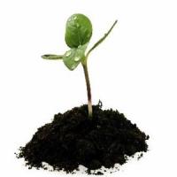 Top 11 idei de afaceri online pentru 2012 si 2013!