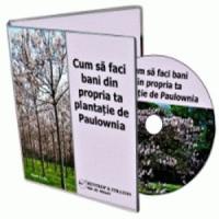 Arborii Paulownia iti pot aduce castiguri de 30.000 de euro/ha din al 3-lea an!