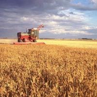 Agricultura a adus 4 mld de euro in economie, prin proiectele de fonduri europene