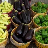 Romanii au cucerit piata europeana cu produsele BIO!