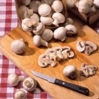 Afaceri cu propria ciupercarie Champignon