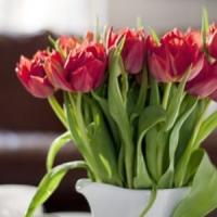 Idei de afaceri mici, simple, cu bani putini: Specialist in aranjamente florale!
