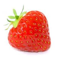 Afaceri agricole cu capsuni: Cei mai aprigi daunatori ai plantatiilor de capsuni