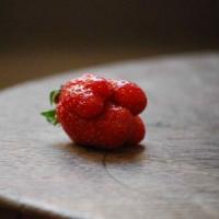 Afaceri geniale din Germania - Culinary Misfits!