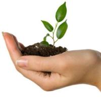 8 afaceri pe care le pornesti dintr-un salariu!
