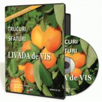 Trucuri si sfaturi pentru livada ta de vis? Iata o colectie practica aici!