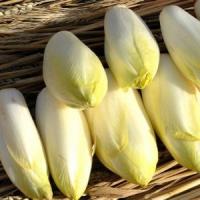 3 afaceri agricole pentru cunoscatori!