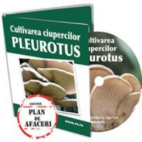 Ciuperci Pleurotus - La o cultura intensiva se obtin 5 - 6 recolte pe an!