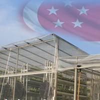 Prima ferma verticala low-water, low-energy se infiinteaza in Singapore!