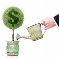 36 de idei de afaceri care vor aduce profit si in 2025!