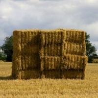 De astazi, fermierii eco pot depune cereri pentru subventii!