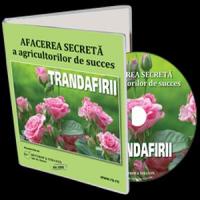 Sarbatorile de Craciun iti aduc preturi de sarbatoare!