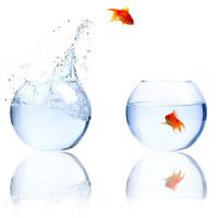 4 lucruri pe care leaderii de succes sunt stapani!