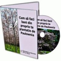 Detalii pe care trebuie sa le stii despre afacerile cu arbori Paulownia!