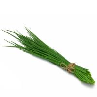 Afaceri agricole cu ceapa de frunze cultivata in sistem ecologic!