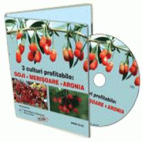Afaceri agricole noi cu 3 fructe exotice pe care sa mizezi in 2013!