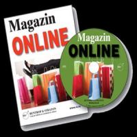 In 2013 vreti un magazin online? Iata ce sa vindeti!