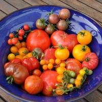 Cosul de legume - O afacere sanatoasa, made in Romania!