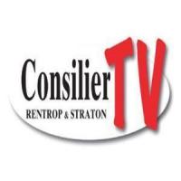 Consultanta VIDEO Idei de Afaceri: Sculpturi din nisip