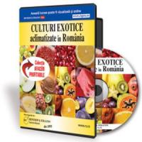 Idei de afaceri profitabile in 2014, cu ghiduri orientative la pachet!
