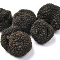 Afaceri profitabile cu trufe negre sau cu diamante negre!