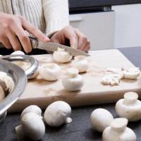 Bolile si daunatorii care produc pagube in cultura ciupercilor Champignon!